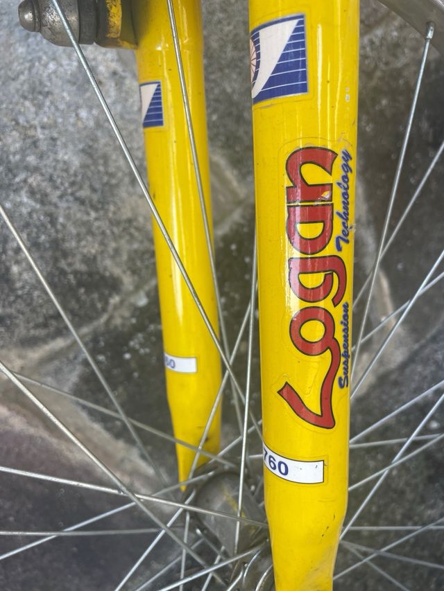 Bicicleta montaña doble suspensión