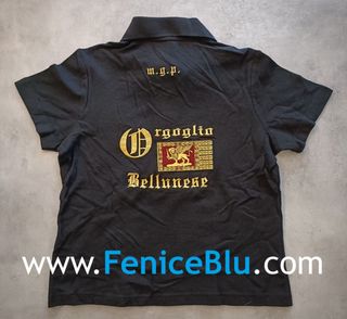 Polo Giovani Padani Belluno, Lega Nord
