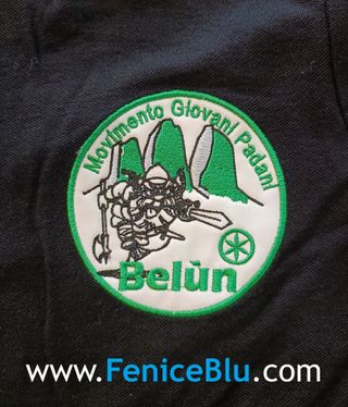 Polo Giovani Padani Belluno, Lega Nord