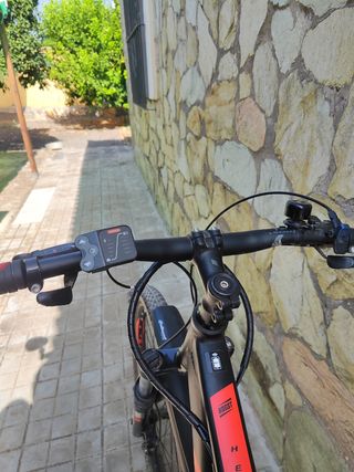 Bicicleta eléctrica montaña, cubierta anti pinchaz