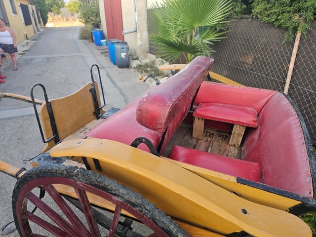 Carro antiguo de caballos