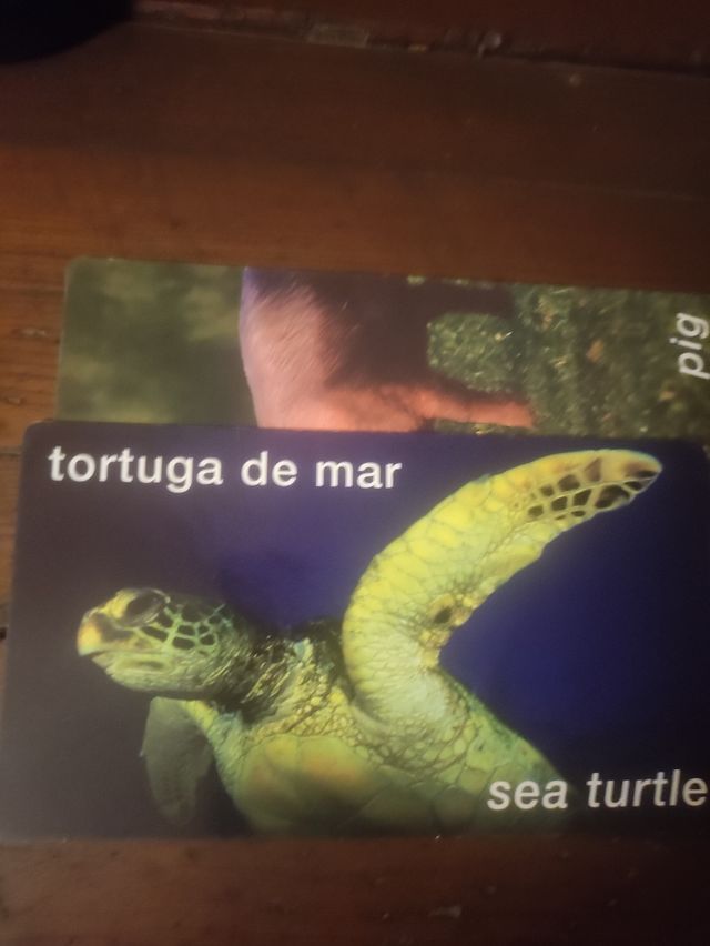 Juego de Cartas Animales