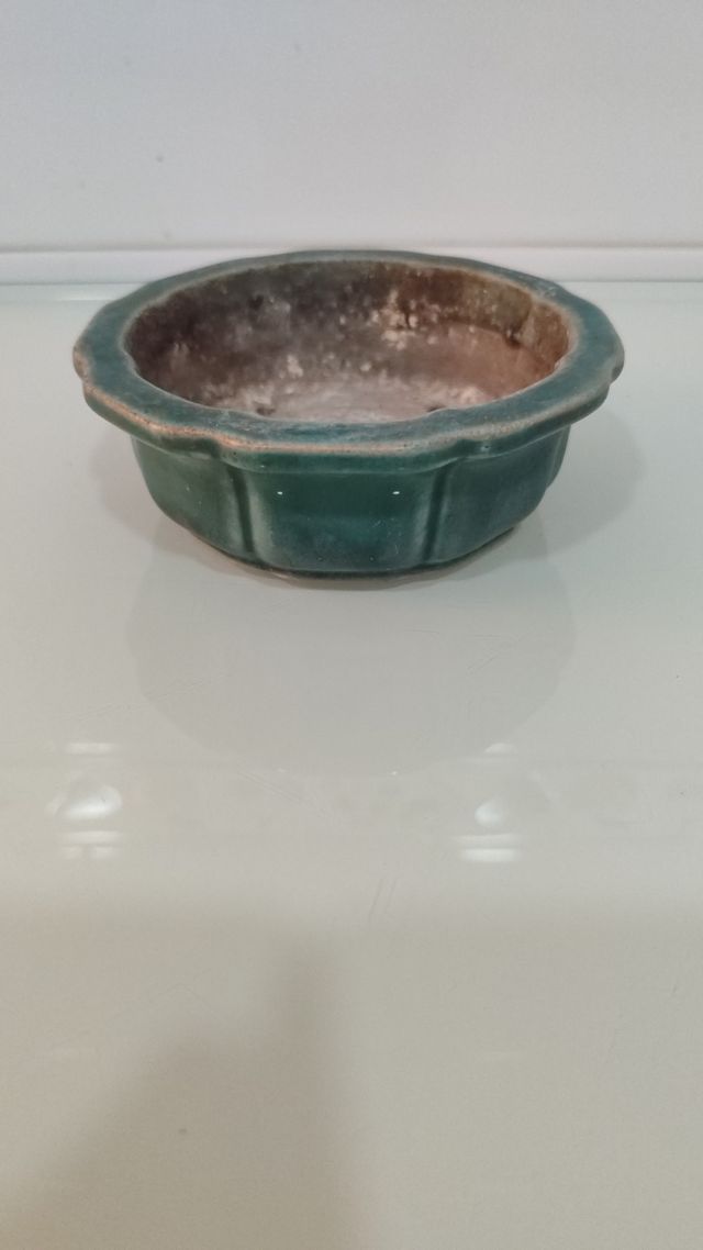 Maceta bonsai Shunzaido años 80 - Verde