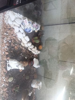 Pecera grande acuario 200x40x60