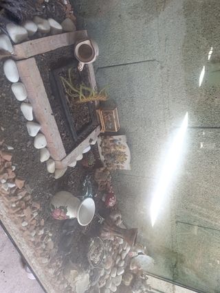 Pecera grande acuario 200x40x60