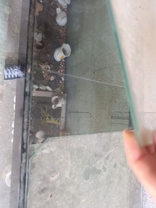 Pecera grande acuario 200x40x60