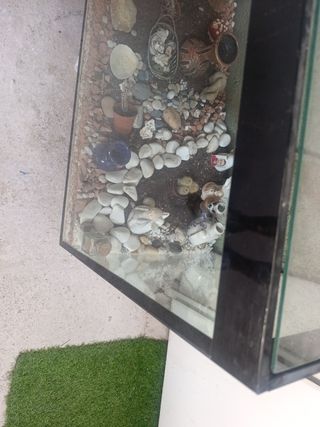 Pecera grande acuario 200x40x60