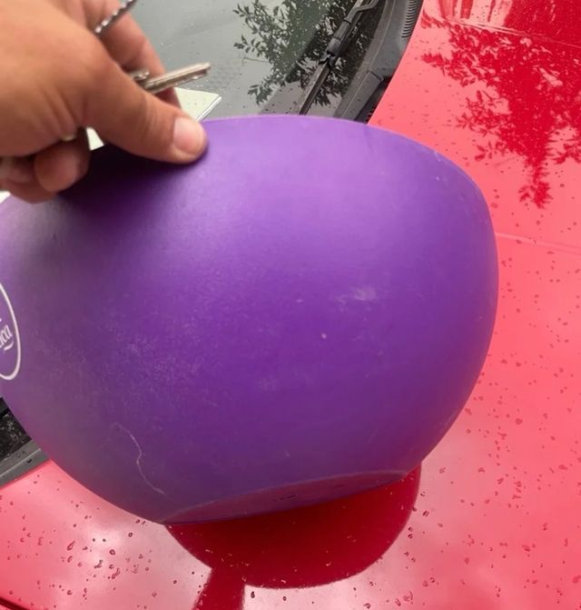 Cubitera morada Puerto de Indias