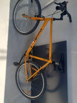 Bicicleta montaña PluminX