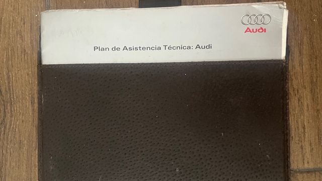 Manuales Audi A3 Originales