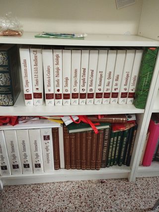 13 volúmenes. En catalán.