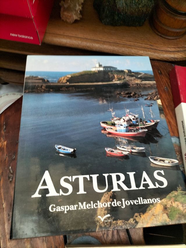 Lote libros Asturias