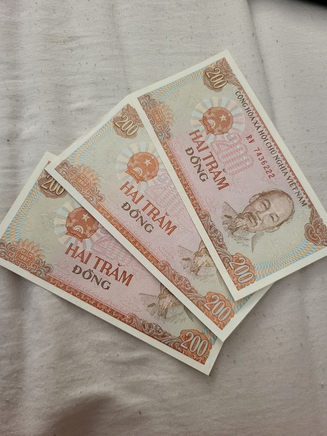 Billetes Vietnam (Colección)