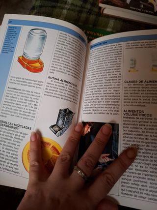 Agapornis (animales domesticos/ Domestics Anima...