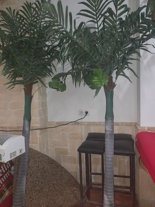 2 Palmeras Artificiales Decoración.