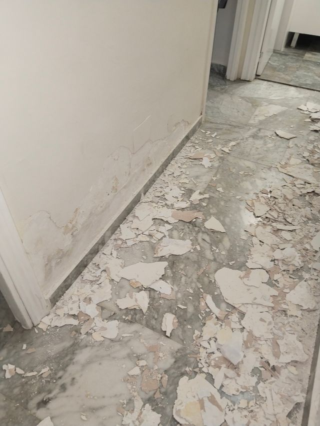 Expertos en tratamientos y reparaciones de paredes