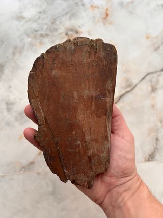 Cabeza tallada religiosa - Antigua Juan de Mesa