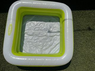 Piscina infantil - Verde y Blanca