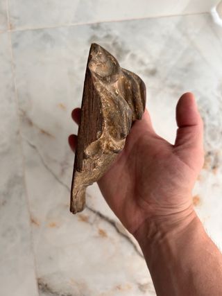 Cabeza ángel tallado antiguo. Parece de retablo.