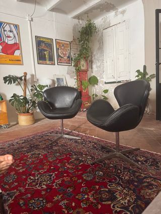 2 Poltroncine Swan Chair vintage