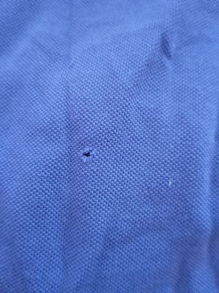 Polo Lacoste azul manga larga