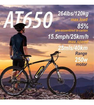 Bicicleta eléctrica montaña