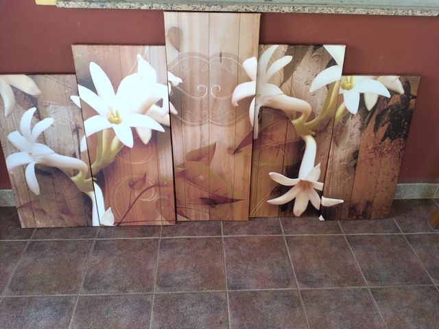 5 Cuadros Flores - Decoración
