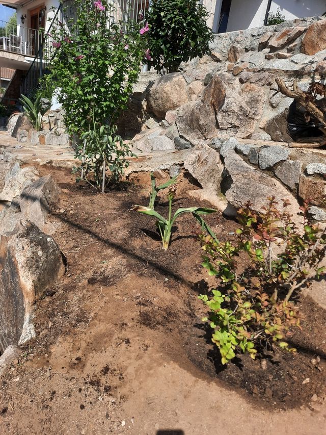 Jardinero profecional
