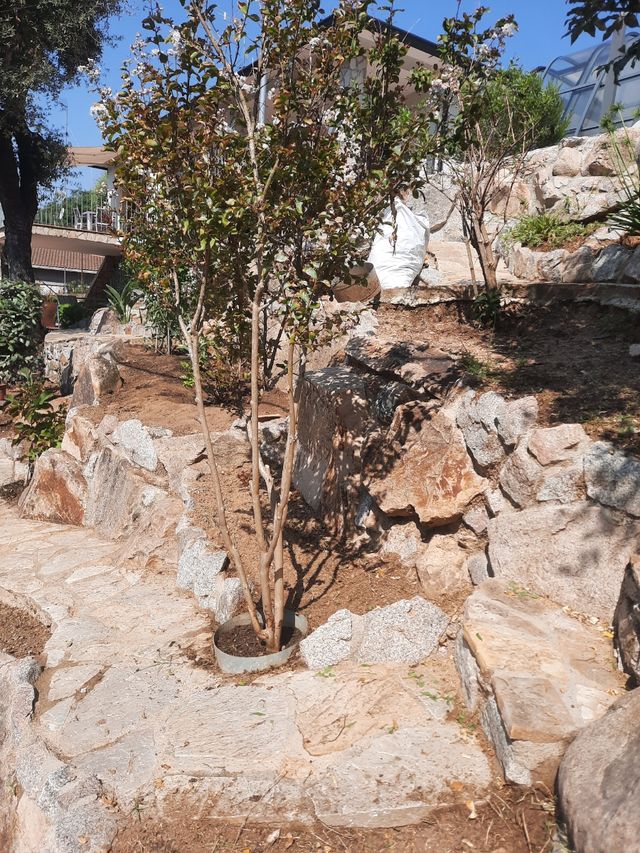 Jardinero profecional