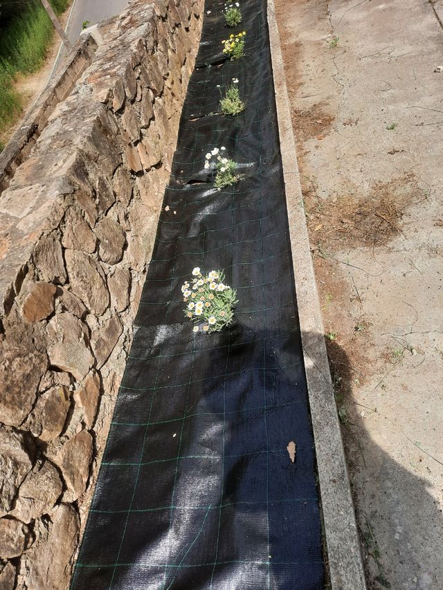 Jardinero profecional