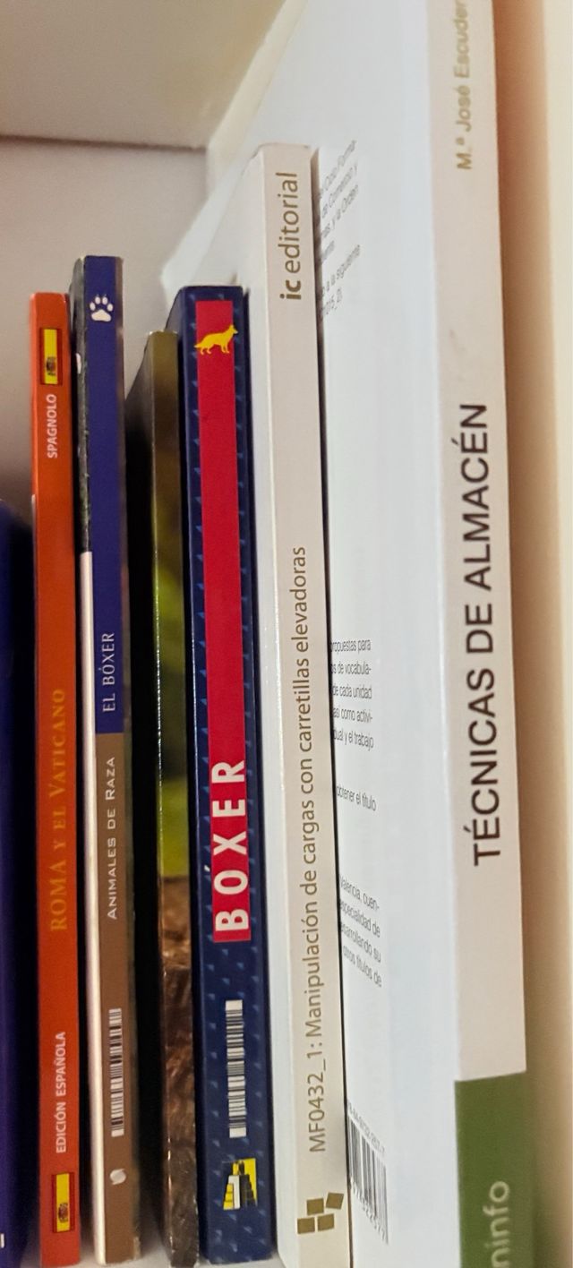 2 diferentes de Perro raza boxer.
Turismo de Roma.