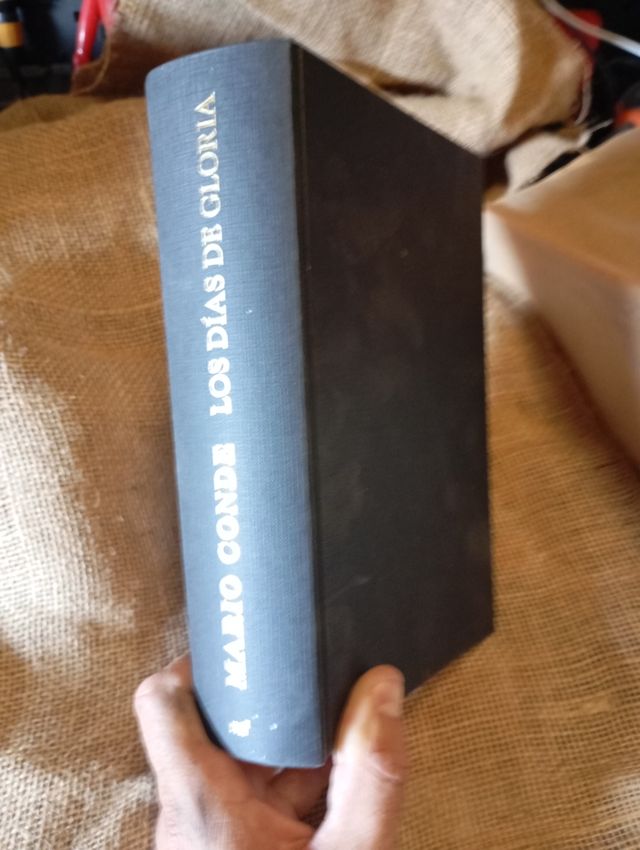 los días de gloria