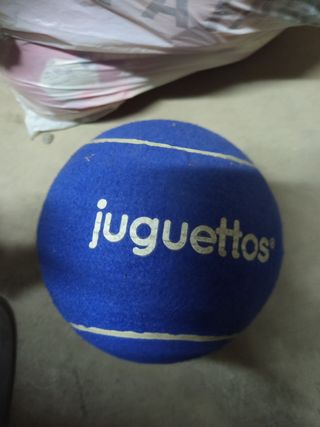 Pelota Juguetos Azul