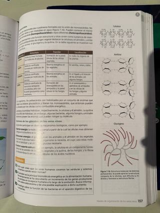 Biología y Geología 1.º Bachillerato Oxford