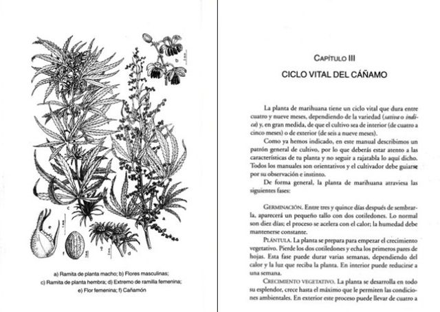 MARIHUANA. GUIA FACIL DE CULTIVO. CANABIS.