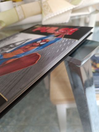 MARVEL DELUXE - THE PULSE 1 - DESDE EL CIELO