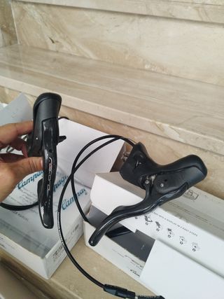 Grupo carretera Campagnolo Record 12v disco.