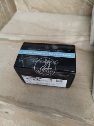 Grupo carretera Campagnolo Record 12v disco.