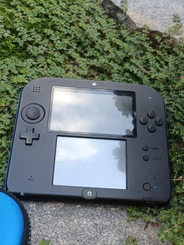 Nintendo 2DS nero e blu