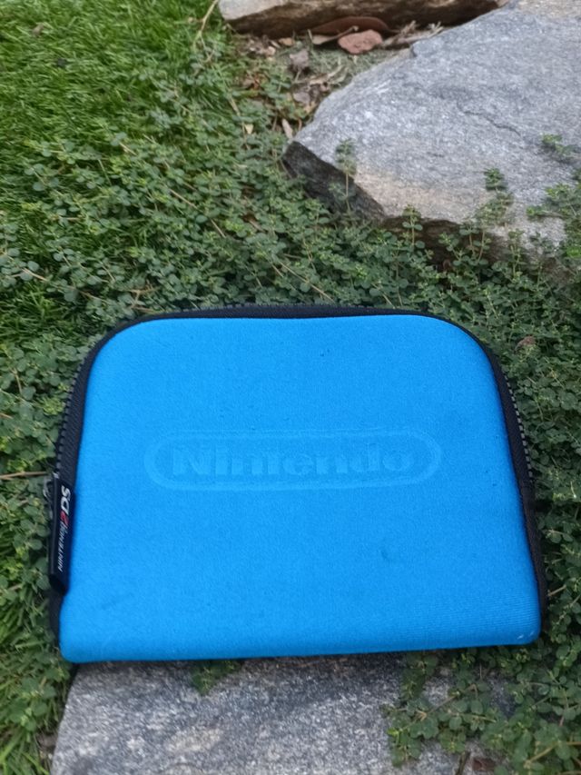 Nintendo 2DS nero e blu