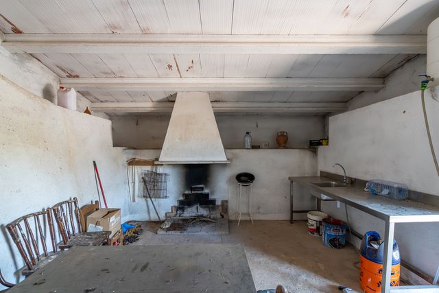 Gran finca de olivos y pinos con agua