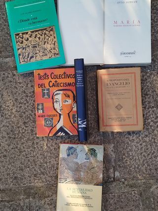 MARIA NUESTRA EXCELSA SEÑORA y ➕ libros Religiosos