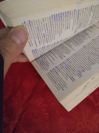 Dizionario inglese italiano