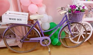 Bicicleta Ratbasa vintage lila