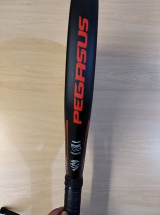 Pala pádel Siux Pegasus 3K