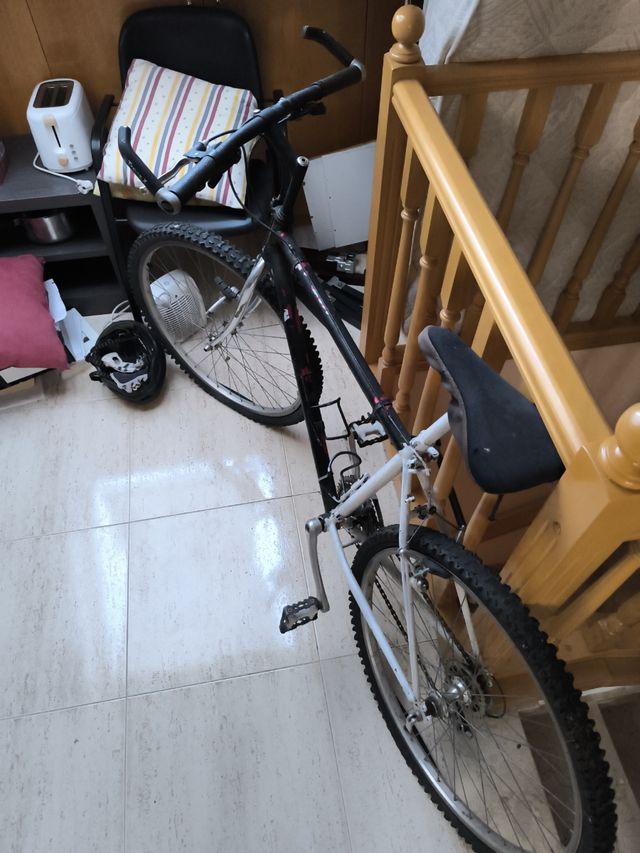 Bicicleta montaña