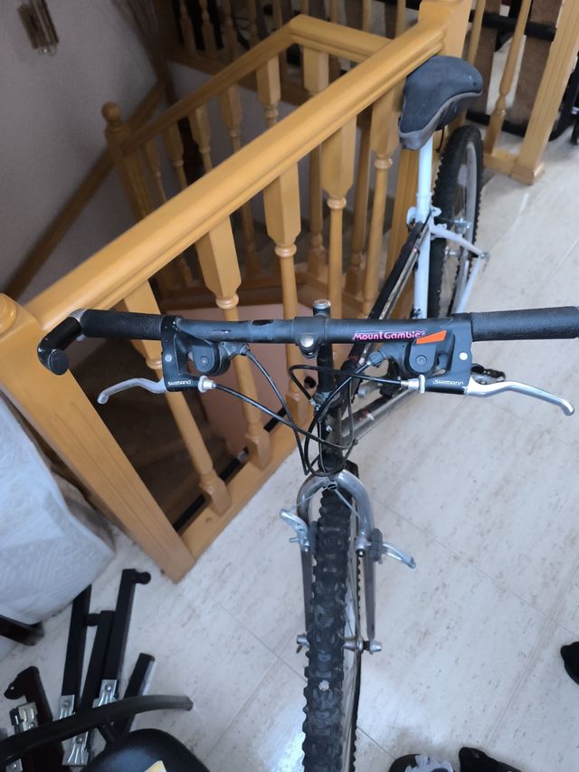 Bicicleta montaña