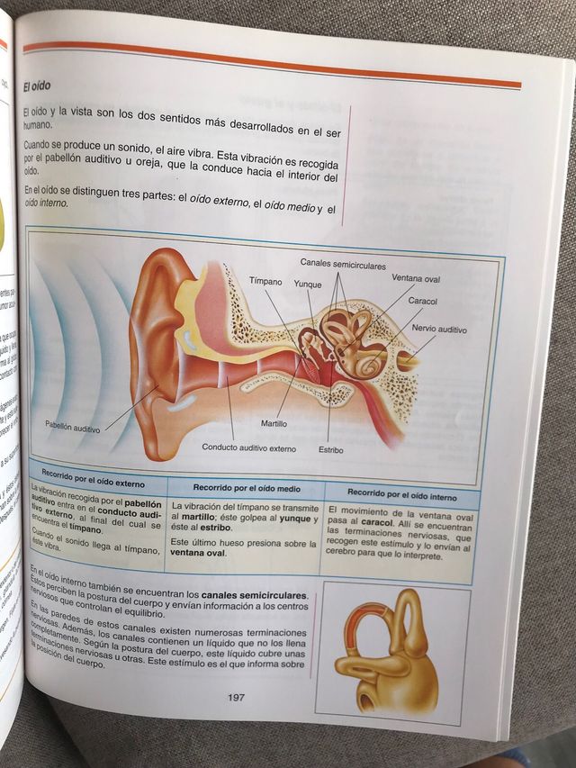 Ciencias de la naturaleza 1Eso GUADIEL  GRUPO EDEB