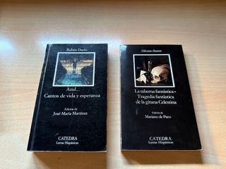 Lote de libros de literatura clásica
