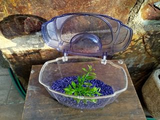 Pecera Betta - Acuario pequeño
